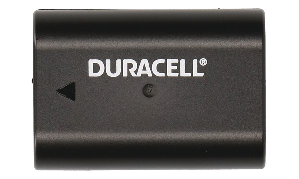DMW-BLF19E Batterij (2 cellen)