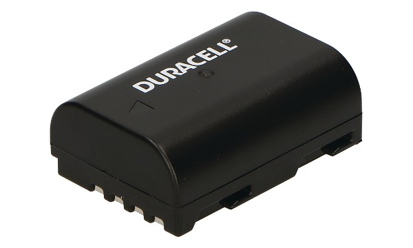 DMW-BLF19E Batterij (2 cellen)