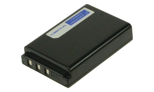 EasyShare DX7590 Zoom Batterij