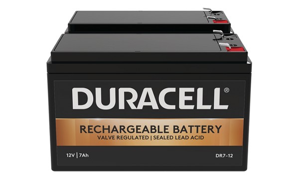 300 Batterij